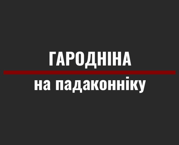 гародніна на падаконніку, вырасціць гародніну дома