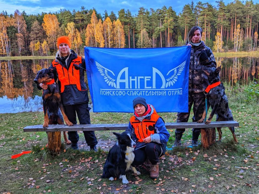 як працуюць выратавальнікі ў беларусі, выратавальнікі ў беларусі, анёл у беларусі
