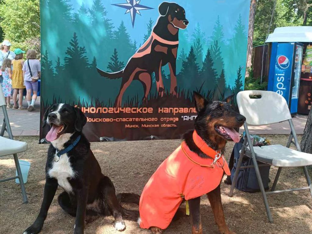 як працуюць выратавальнікі ў беларусі, выратавальнікі ў беларусі, анёл у беларусі