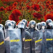 Чаму мак забаронены ў Беларусі