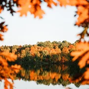 Беларуская сучасная паэзія для (ад) восеньскай самоты