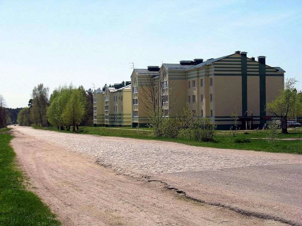 плешчаніцы, брукаванка ў плешчаніцах