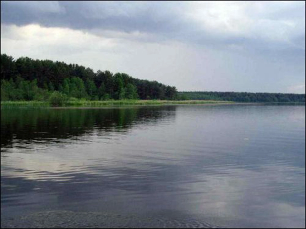 плешчаніцы, вадасховішча ў плешчаніцах