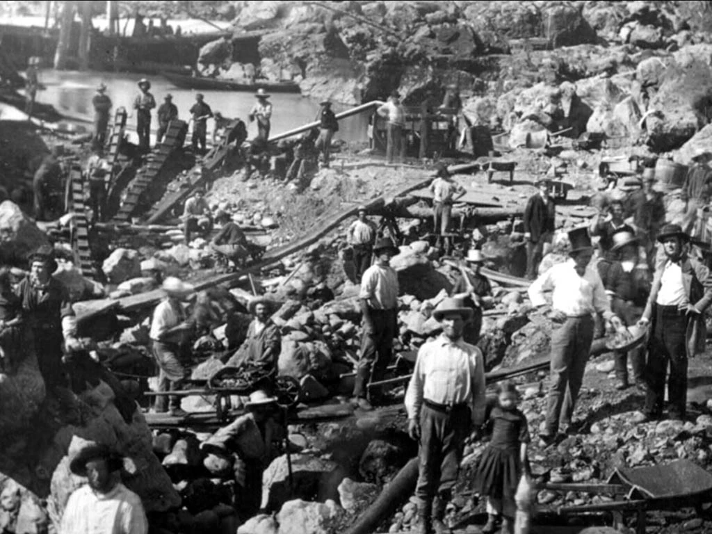 залатая ліхаманка, майнеры