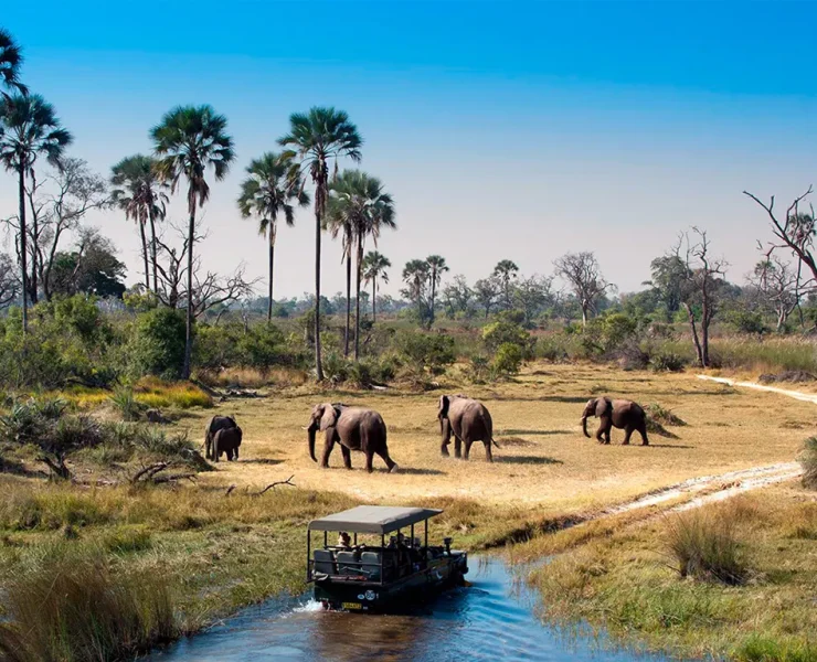 дакументальныя фільмы пра прыроду, дакументалкі пра прыроду, лепшыя дакументалкі пра прыроду