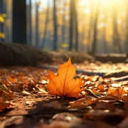 Як перамагчы восеньскую хандру? Даём простыя парады