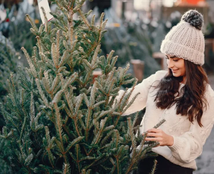 штучная елка, жывая елка, якую елка абраць на новы год