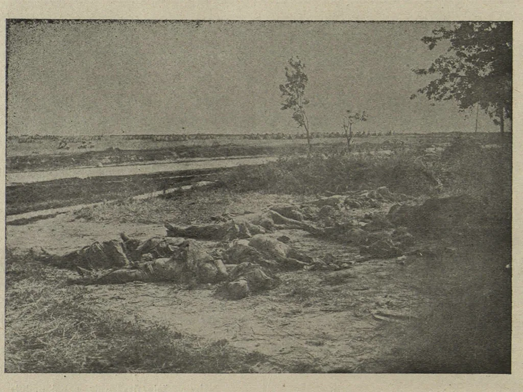 газета беларускае жыццё, бальшавіцкія злачынствы, чырвоны тэрор