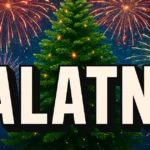 25 лепшых тэкстаў PALATNO за 2025 год